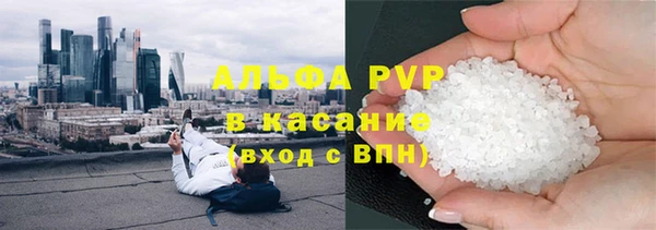 шишки Медвежьегорск