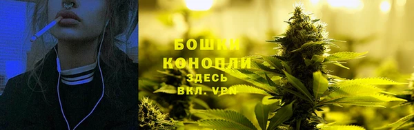 прущие крисы Болотное
