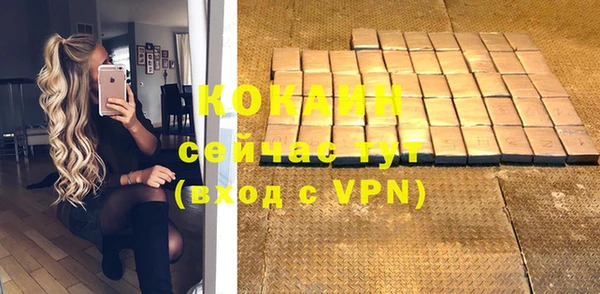 сатива Михайлов