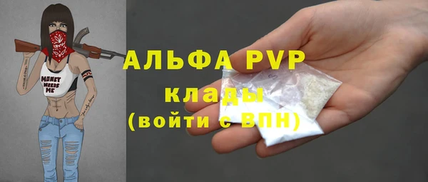сатива Михайлов