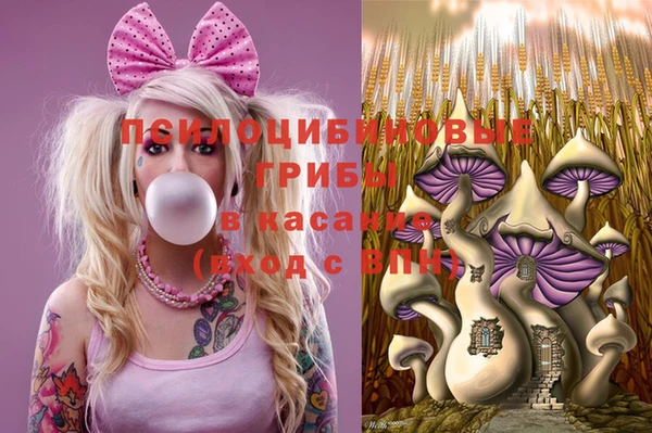 ECSTASY Михайловка